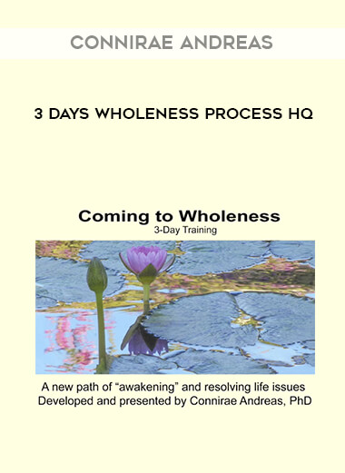 Connirae Andreas - 3 Days Wholeness Process HQ digital download