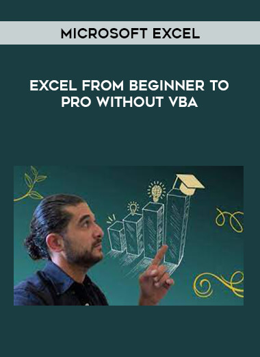 Microsoft Excel - Excel from Beginner to Pro without VBA digital download