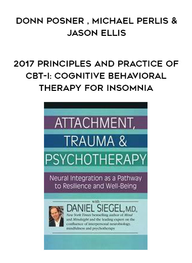 2017 Principles and Practice of CBT-I: Cognitive Behavioral Therapy for Insomnia - Donn Posner