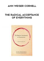 Ann Weiser Cornell - The Radical Acceptance of Everything digital download