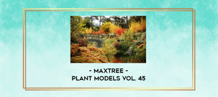 Maxtree - Plant Models Vol. 45 digital download